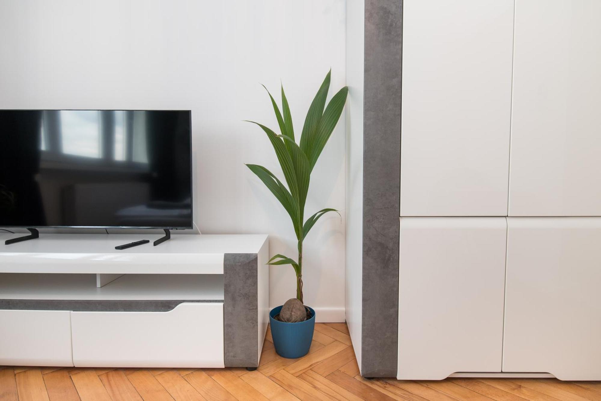 Apartament Dworcowa 24 غليفيتسه المظهر الخارجي الصورة
